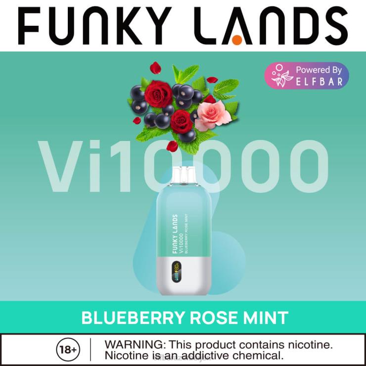 FFH2V158 ELFBAR Funky Lands Disposable Vape Vi10000 Puffs Blueberry Ice